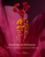 Gelatina de Hibiscos y Colágeno Natural