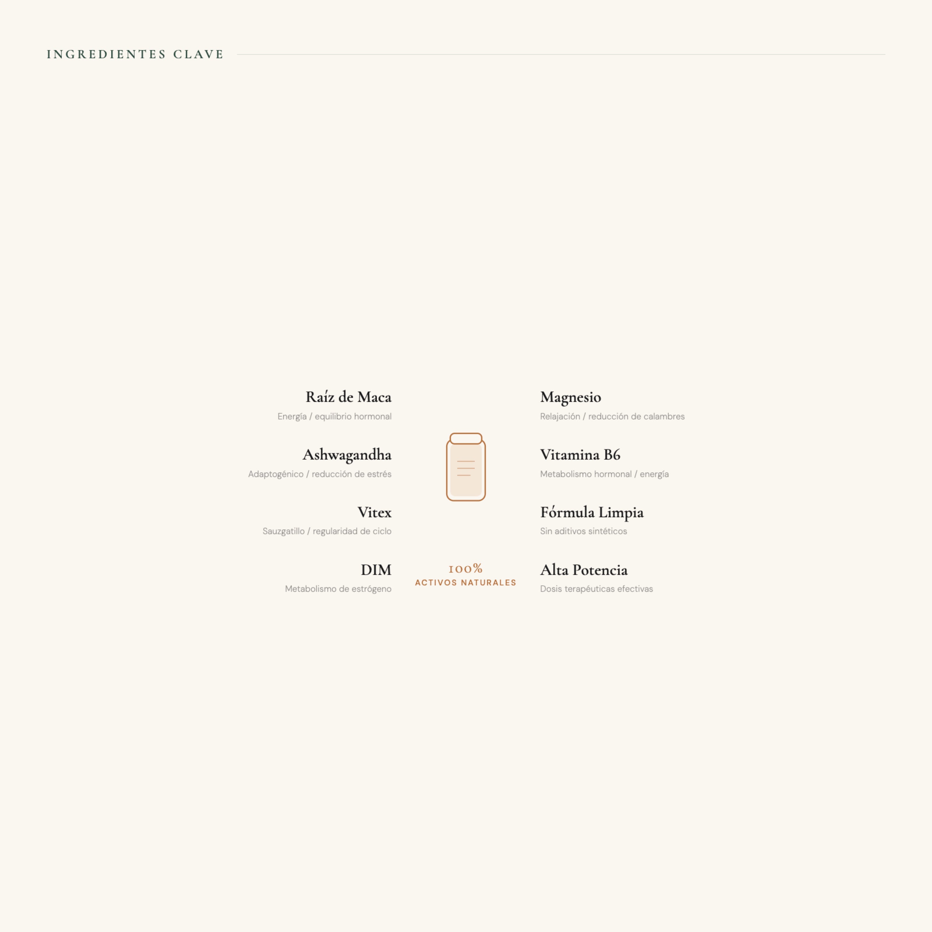 Golden Milk PADAM® | Functional Turmeric, Superfoods & Adaptogens Blend