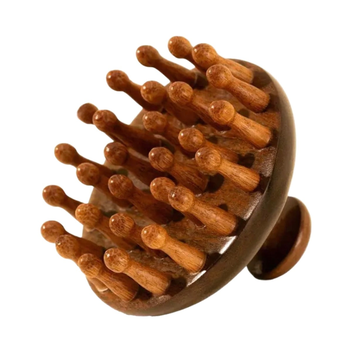 Hair Brush & Scalp Massager